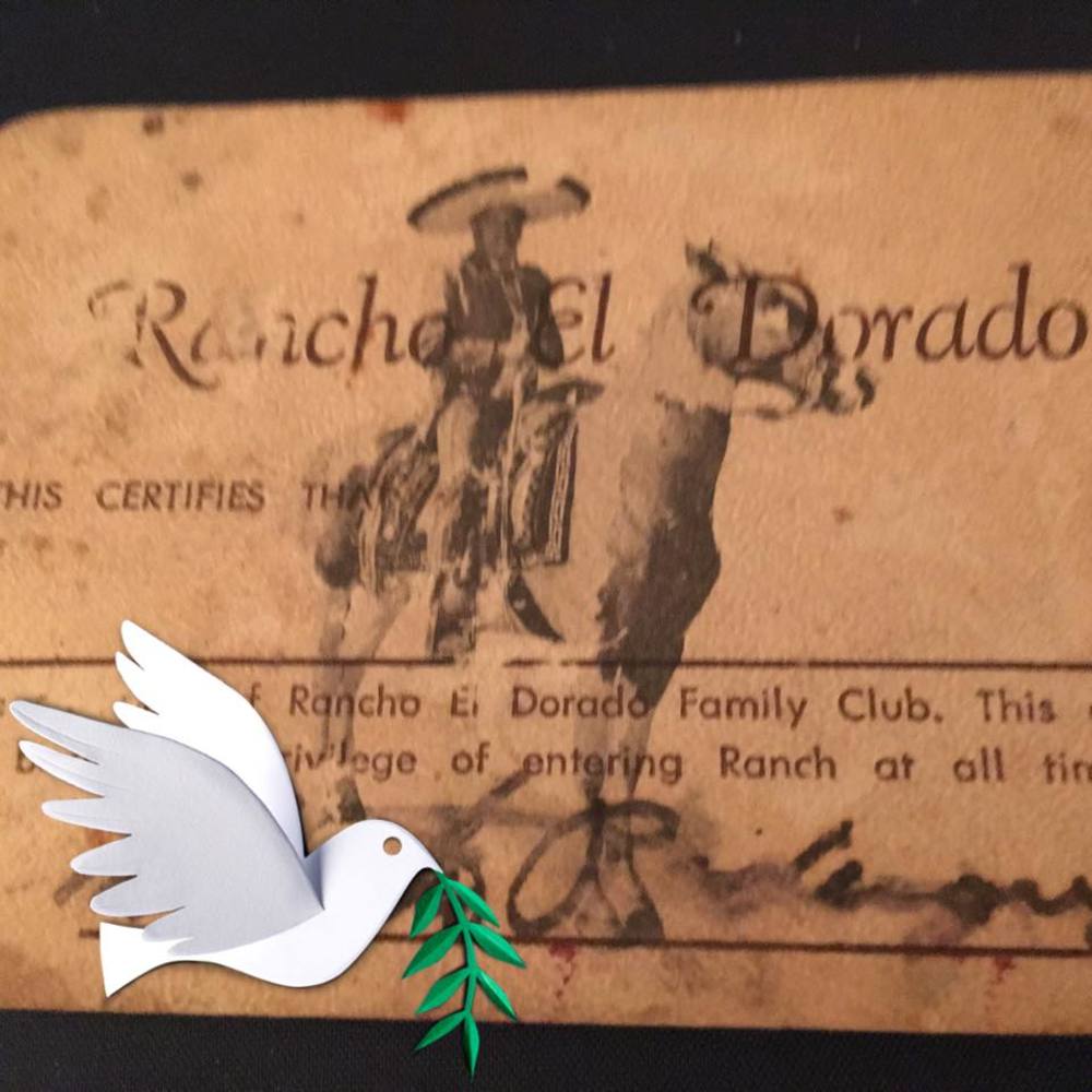 Meet your Posher, Rachelle